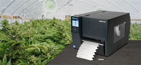 rfid labeling for cannabis|How RFID Technology Cultivates Canna.